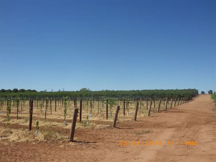 Seventh view of Homely rural property listing, A2 Distillery Road, Monash SA 5342