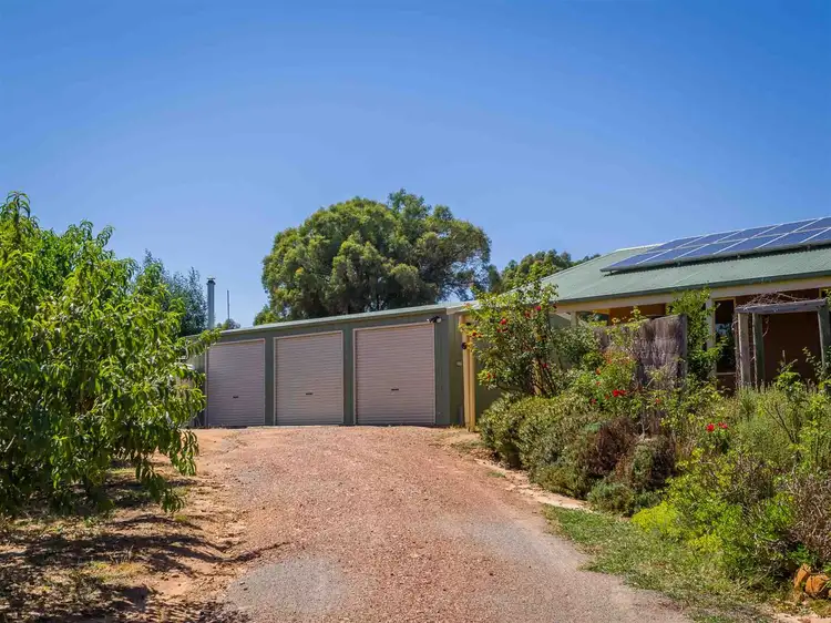 Main view of Homely house listing, 16 Spring Creek Road, Strathbogie VIC 3666