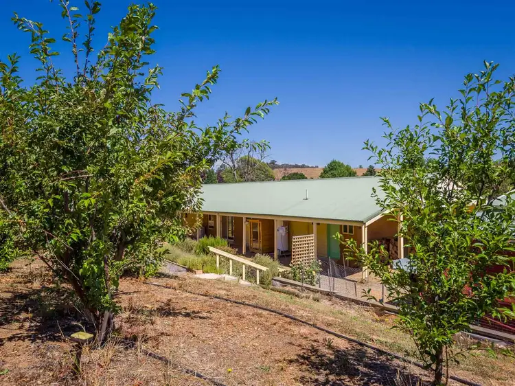 Fifth view of Homely house listing, 16 Spring Creek Road, Strathbogie VIC 3666