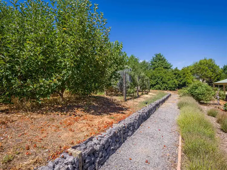 Sixth view of Homely house listing, 16 Spring Creek Road, Strathbogie VIC 3666