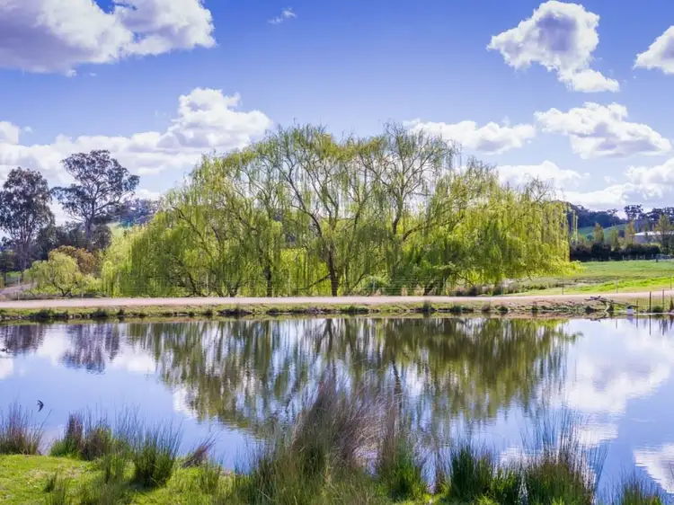 Fourth view of Homely rural property listing, Lot 1 571 Galls Gap Road, Strathbogie VIC 3666