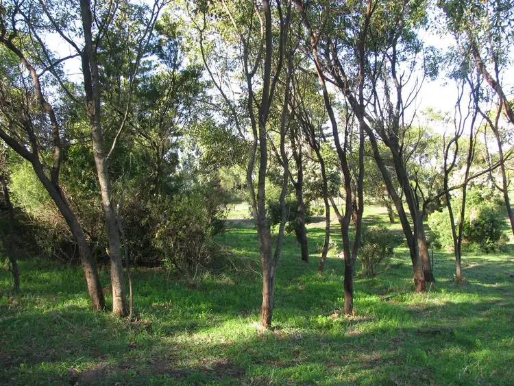 Fifth view of Homely land listing, 21 Black Swan Road, Nelson VIC 3292