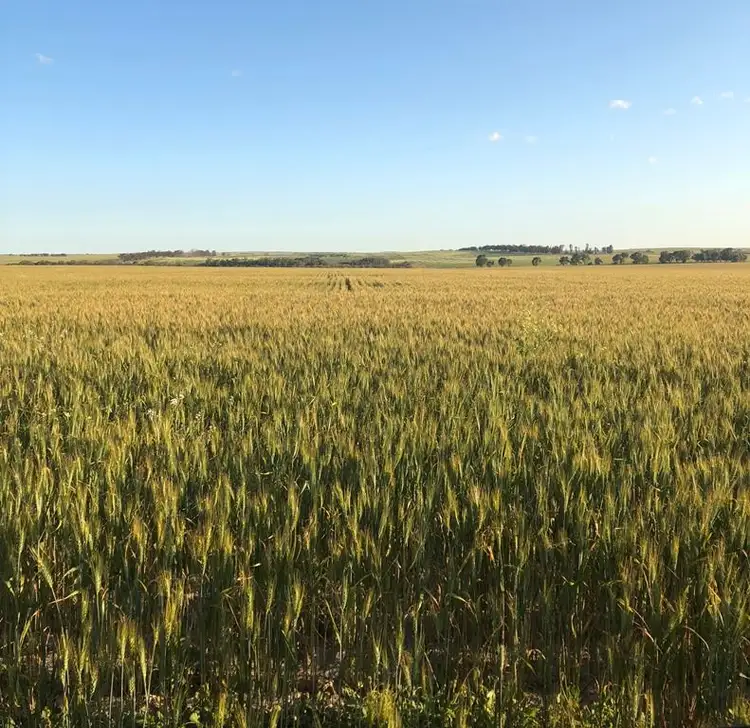 Third view of Homely rural property listing, Address available on request