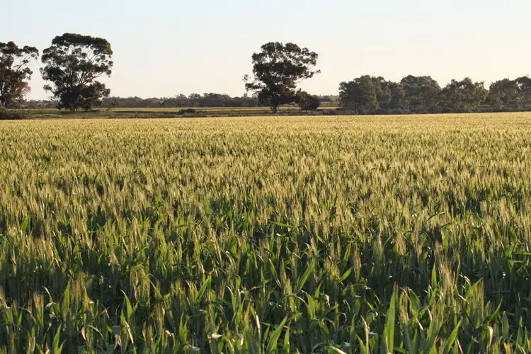 Fourth view of Homely rural property listing, Address available on request