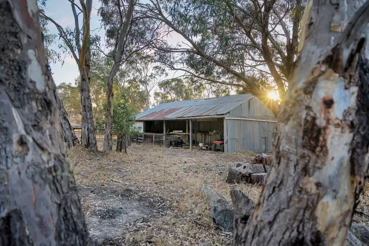 Fifth view of Homely rural property listing, 299 Collins Rd, Tungkillo SA 5236