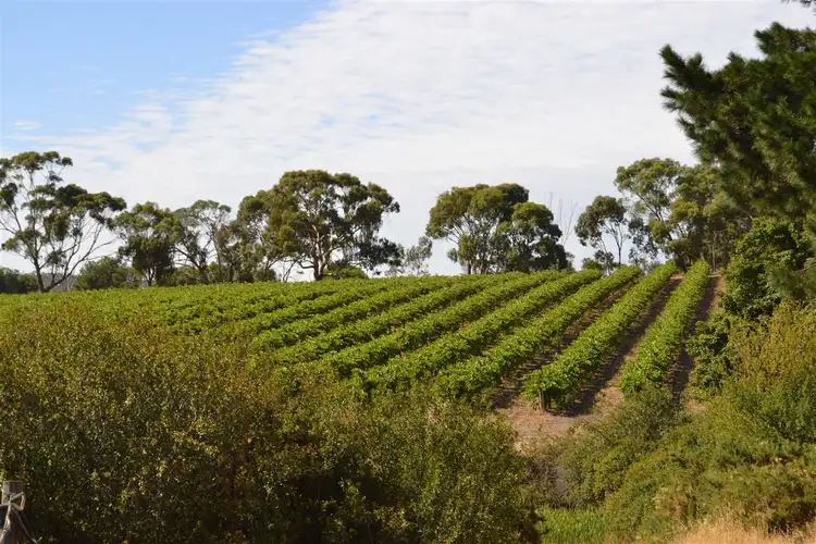 334 Neagles Rock Road, Clare SA 5453
