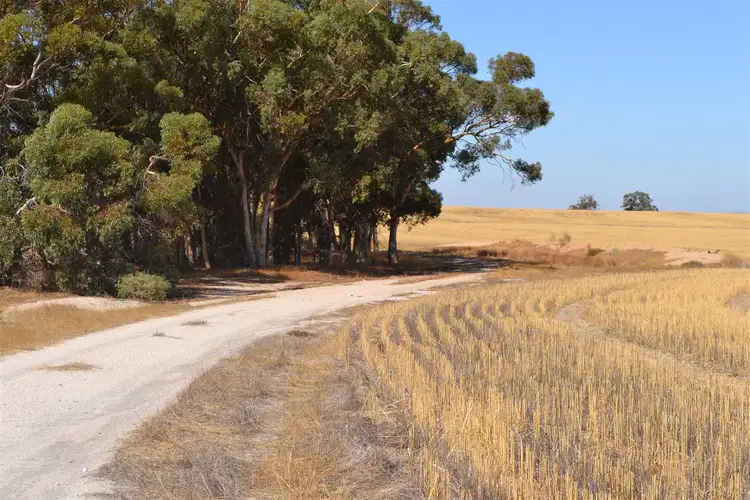 Second view of Homely rural property listing, Address available on request