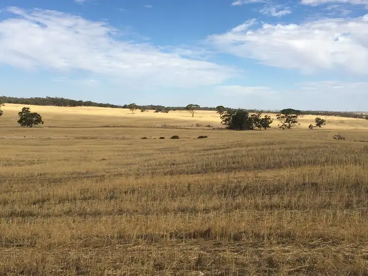 Seventh view of Homely rural property listing, Address available on request