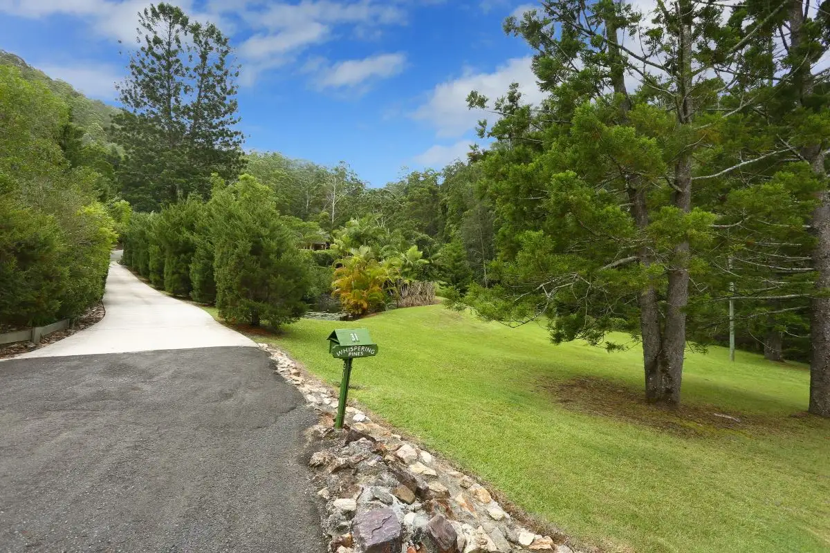Main view of Homely house listing, 31 Pinetree Court, Mudgeeraba QLD 4213
