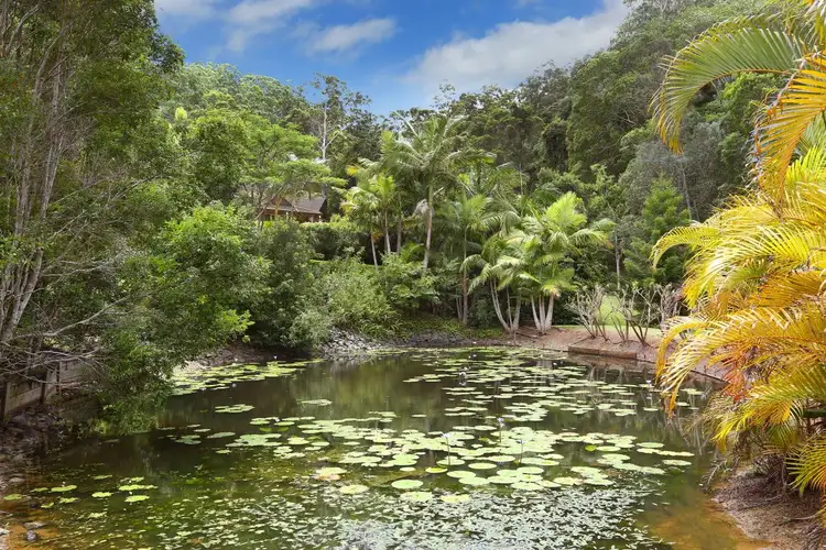 Second view of Homely house listing, 31 Pinetree Court, Mudgeeraba QLD 4213