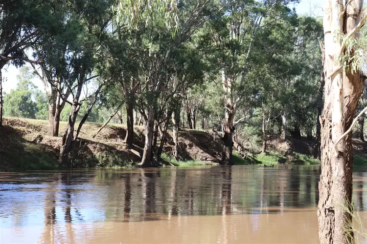 Seventh view of Homely rural property listing, Address available on request