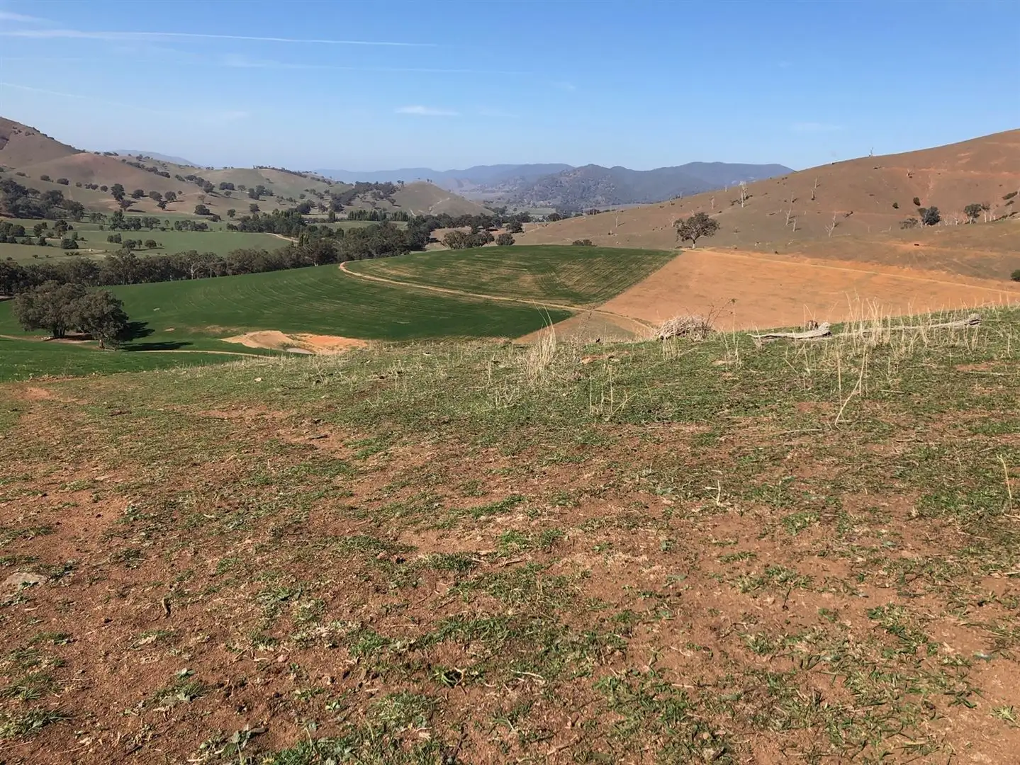 Main view of Homely rural property listing, 7413 Great, Swifts Creek VIC 3896