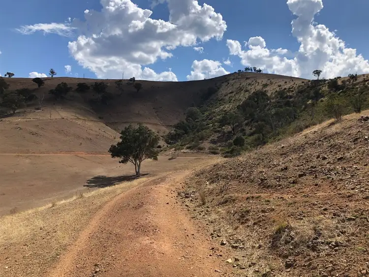 Sixth view of Homely rural property listing, 7413 Great, Swifts Creek VIC 3896