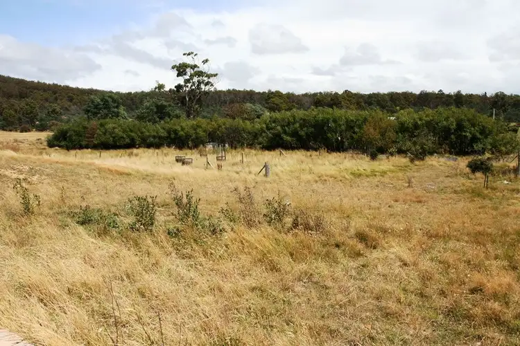Main view of Homely land listing, 110 High Street, Mathinna TAS 7214