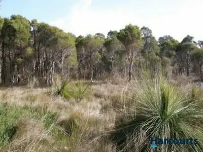 Seventh view of Homely house listing, 426 Taylor Road, Forrestdale WA 6112