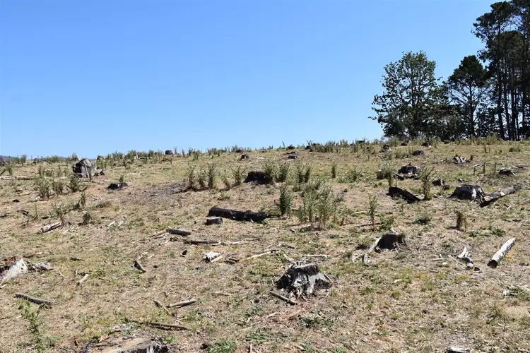 Sixth view of Homely rural property listing, 2B Limestone Road and Hollonds Road, Benambra VIC 3900