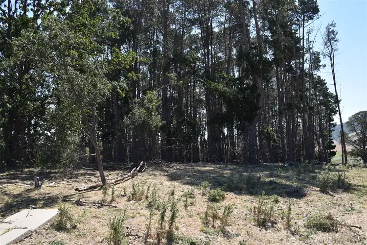 Seventh view of Homely rural property listing, 2B Limestone Road and Hollonds Road, Benambra VIC 3900