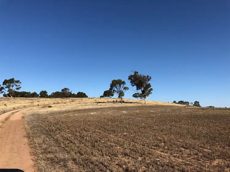 Sixth view of Homely rural property listing, 398 Snake Gully Road, Harrogate SA 5244