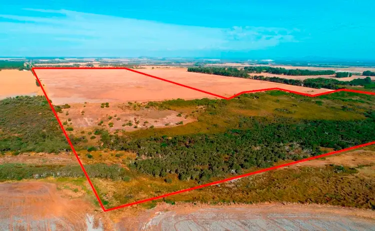 Main view of Homely rural property listing, Lot 36 Myrup Road, Myrup WA 6450