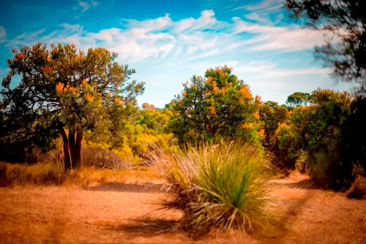 Fifth view of Homely rural property listing, Lot 36 Myrup Road, Myrup WA 6450