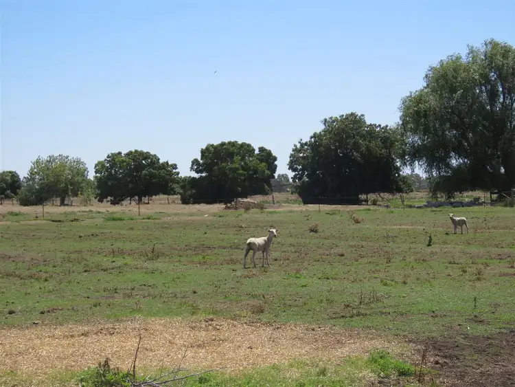 Fourth view of Homely rural property listing, Address available on request