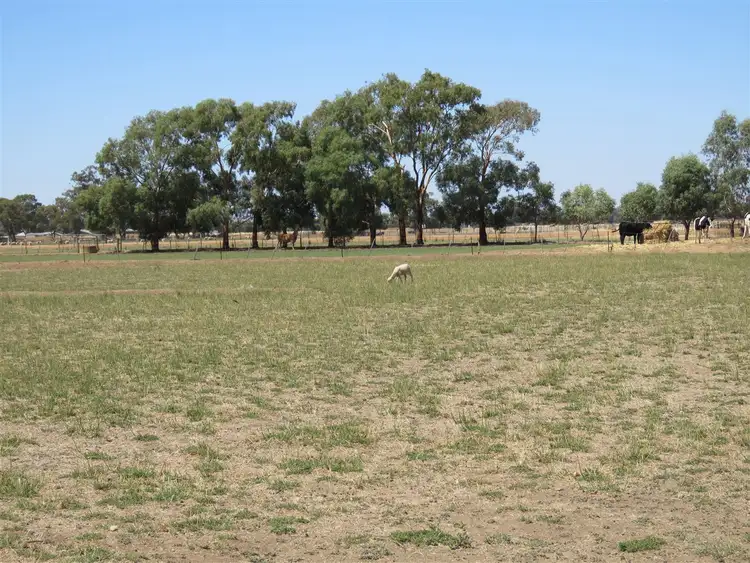 Fifth view of Homely rural property listing, Address available on request