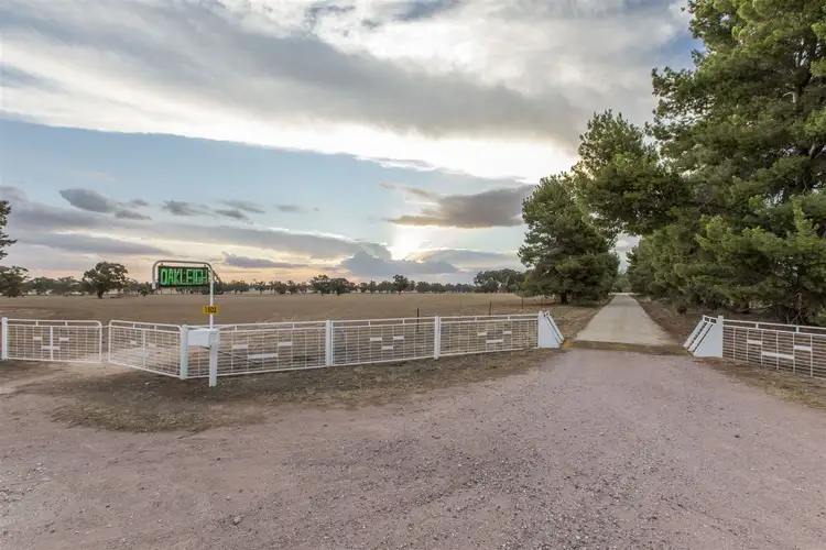 Main view of Homely rural property listing, Oakleigh/1502 Paintings Bridge Rd, Sandigo via, Narrandera NSW 2700
