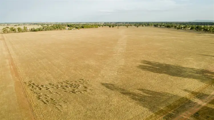 Fifth view of Homely rural property listing, Oakleigh/1502 Paintings Bridge Rd, Sandigo via, Narrandera NSW 2700
