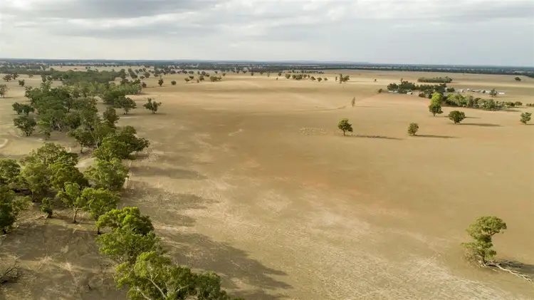 Sixth view of Homely rural property listing, Oakleigh/1502 Paintings Bridge Rd, Sandigo via, Narrandera NSW 2700