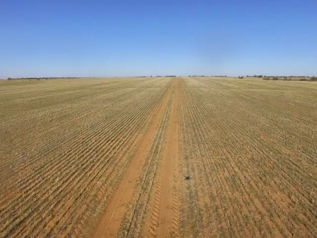 Main view of Homely rural property listing, 661 Paynter Road, Nyah West VIC 3595