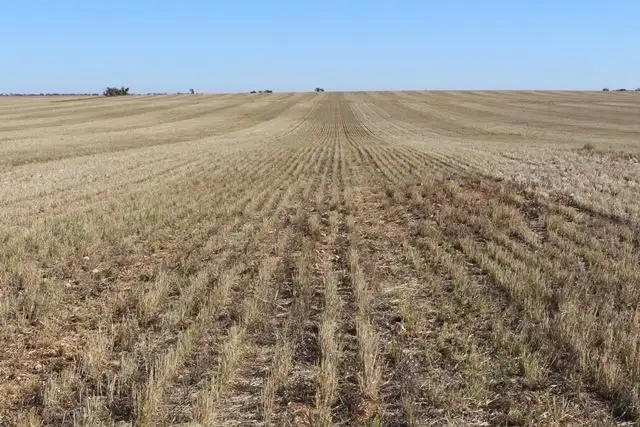 Second view of Homely rural property listing, 661 Paynter Road, Nyah West VIC 3595