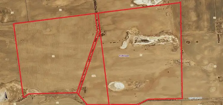 Fifth view of Homely rural property listing, 661 Paynter Road, Nyah West VIC 3595