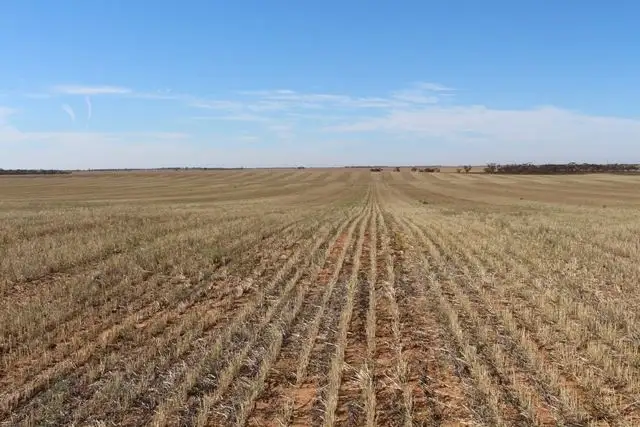 Seventh view of Homely rural property listing, 661 Paynter Road, Nyah West VIC 3595