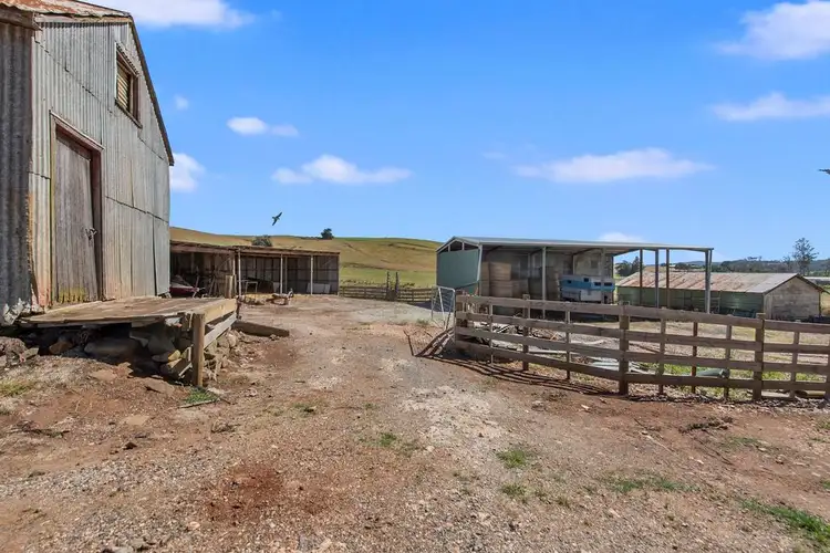 Third view of Homely rural property listing, 156 Cables Road, Sheffield TAS 7306