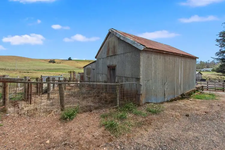 Fifth view of Homely rural property listing, 156 Cables Road, Sheffield TAS 7306