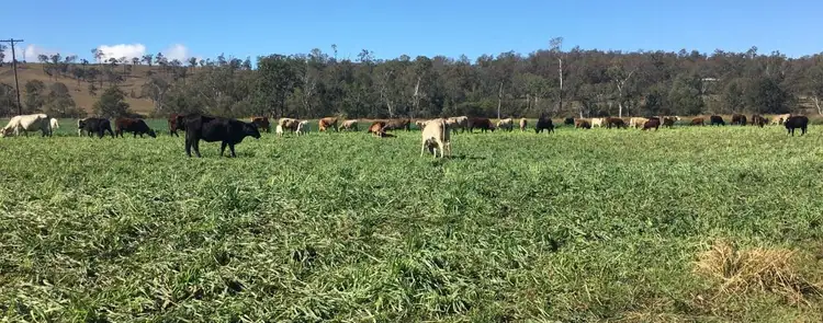 250 Heights Rd, Nanango QLD 4615