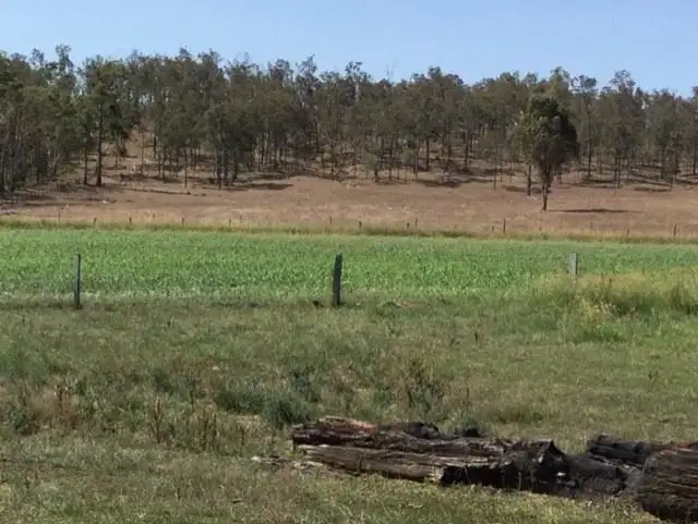 Sixth view of Homely rural property listing, 250 Heights Rd, Nanango QLD 4615