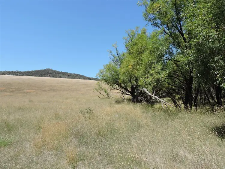 Second view of Homely rural property listing, Lot 25 Corrowong Road, Corrowong, Delegate NSW 2633