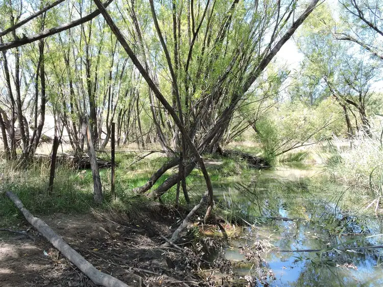Third view of Homely rural property listing, Lot 25 Corrowong Road, Corrowong, Delegate NSW 2633