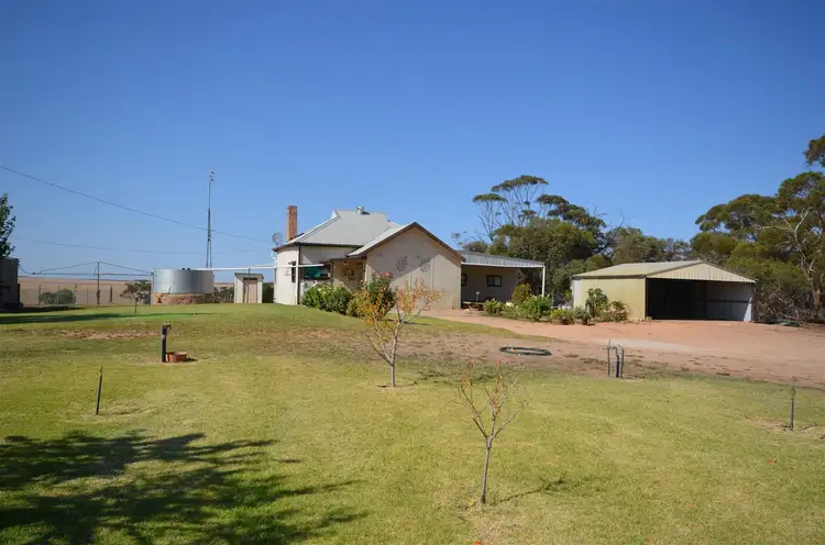 Main view of Homely rural property listing, 6197 Mallee Highway, Murrayville VIC 3512