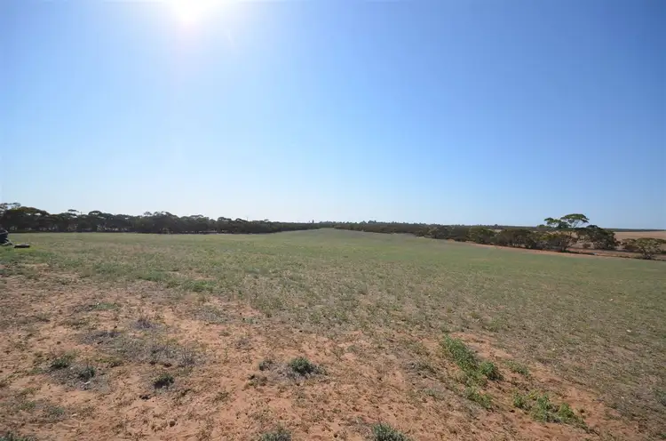 Second view of Homely rural property listing, 6197 Mallee Highway, Murrayville VIC 3512