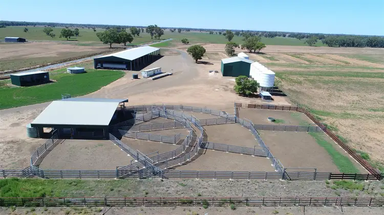 449 Willawang Road, Forbes NSW 2871