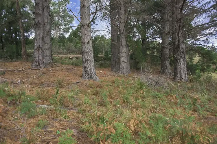 Sixth view of Homely land listing, 7 Cooks Road, Nubeena TAS 7184