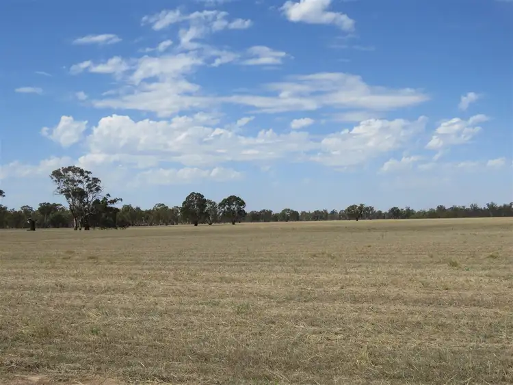 1452 Kotupna - Barmah, Picola VIC 3639