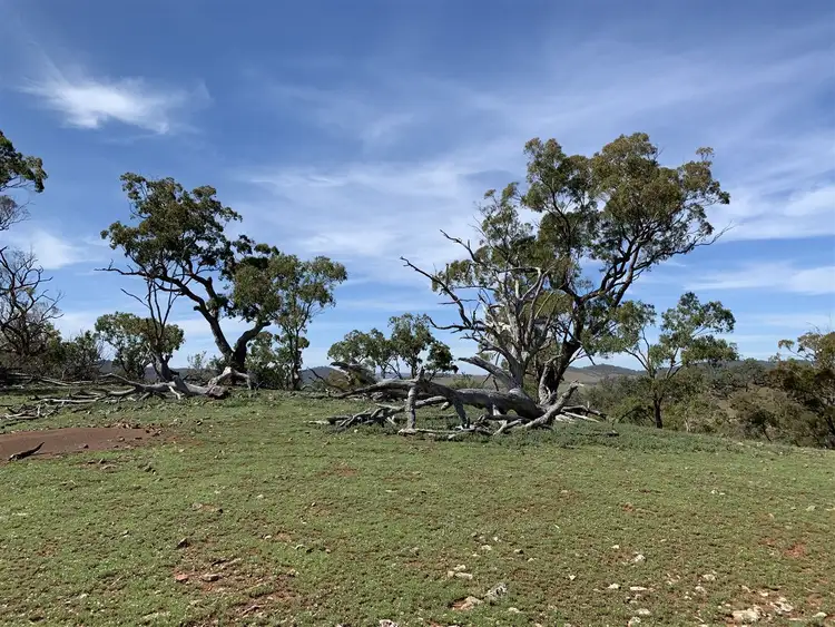 Fourth view of Homely rural property listing, Address available on request