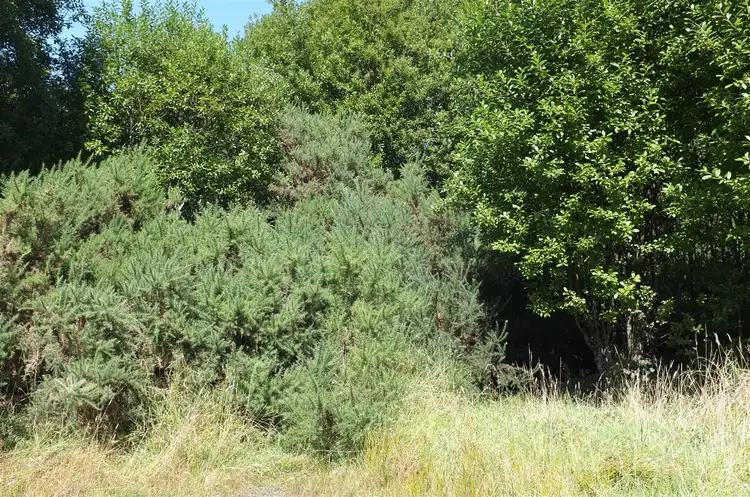 Second view of Homely land listing, 27 Smith Street, Zeehan TAS 7469