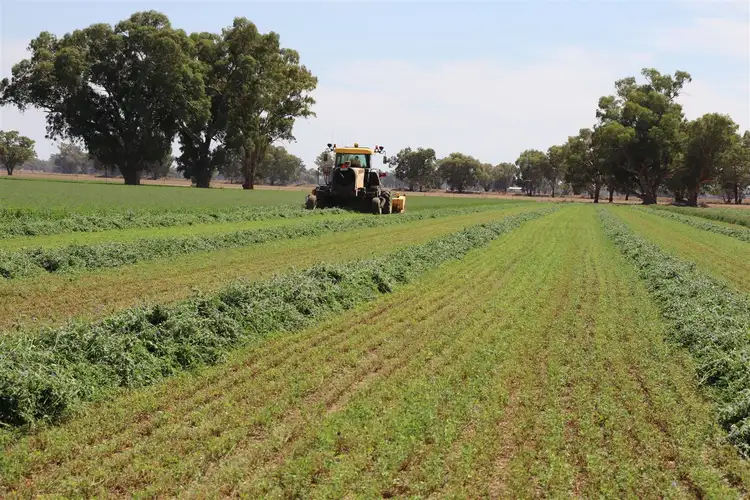 Second view of Homely rural property listing, Address available on request