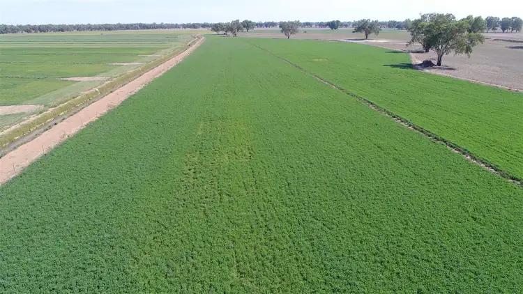 Seventh view of Homely rural property listing, Address available on request