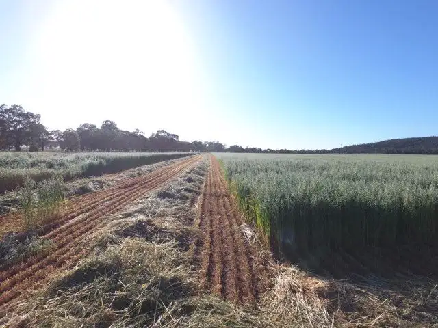 Sixth view of Homely rural property listing, Address available on request