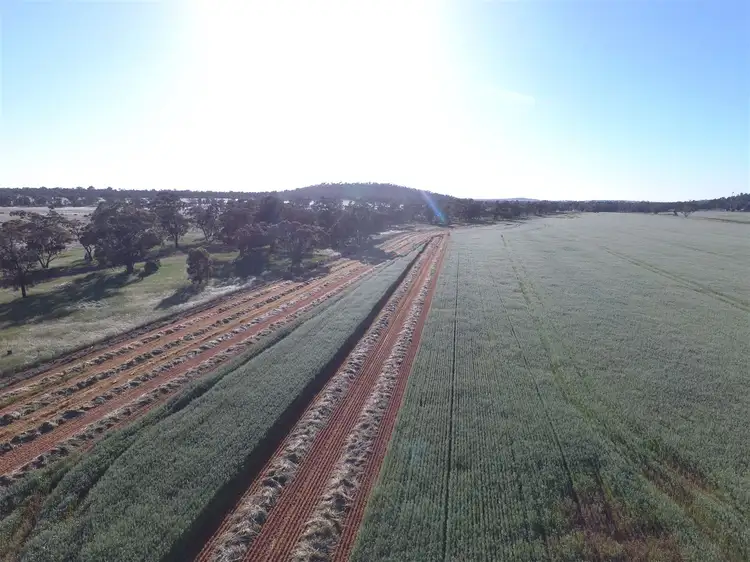 Seventh view of Homely rural property listing, Address available on request